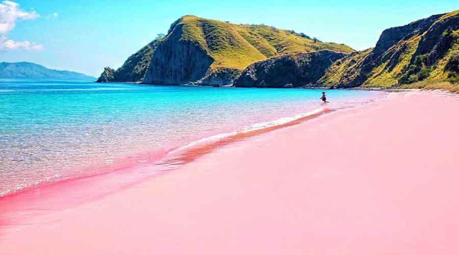pantai merah muda